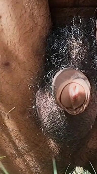 Desi heißer indischer junge pisst video