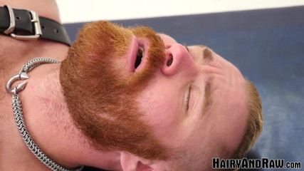 Hairy And Raw: Hairyandraw barbuta Zack Ackland scopata senza preservativo dall'orso Silien
