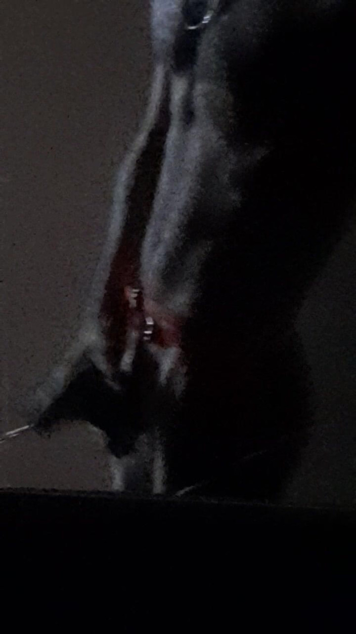 Dorian DomTop: Xmas Rusa miang mula melancap