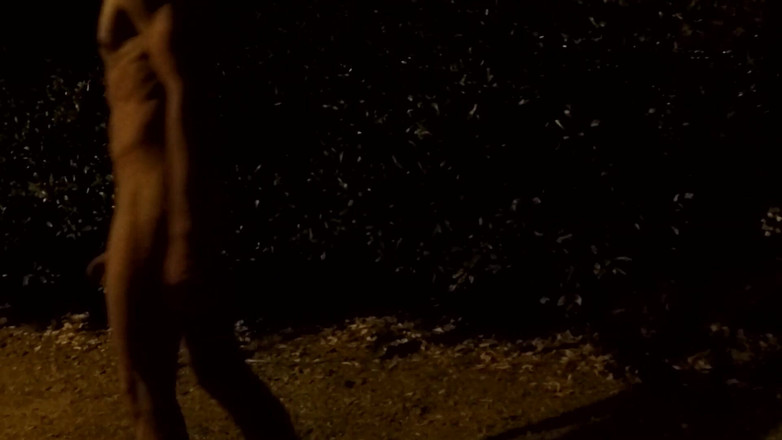 outdoor-fun: Crusing En Un Parque Público Por La Noche - Desnudarse 2