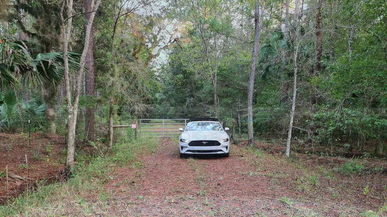 Mrs Samantha: Fru Samantha's Roadtrip Usa, dag 2, Ocala Florida (inget sex)