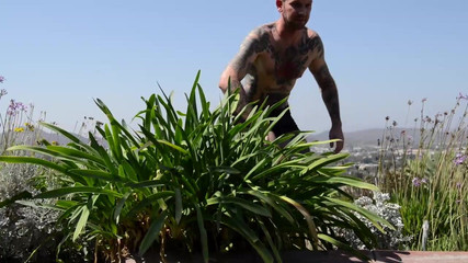 Anatomik Media: Велика брудна оральна груповуха Anatomik Media