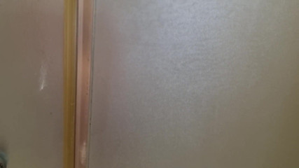 TheloveStory: Amateur caught bathroom masturbating in the shower