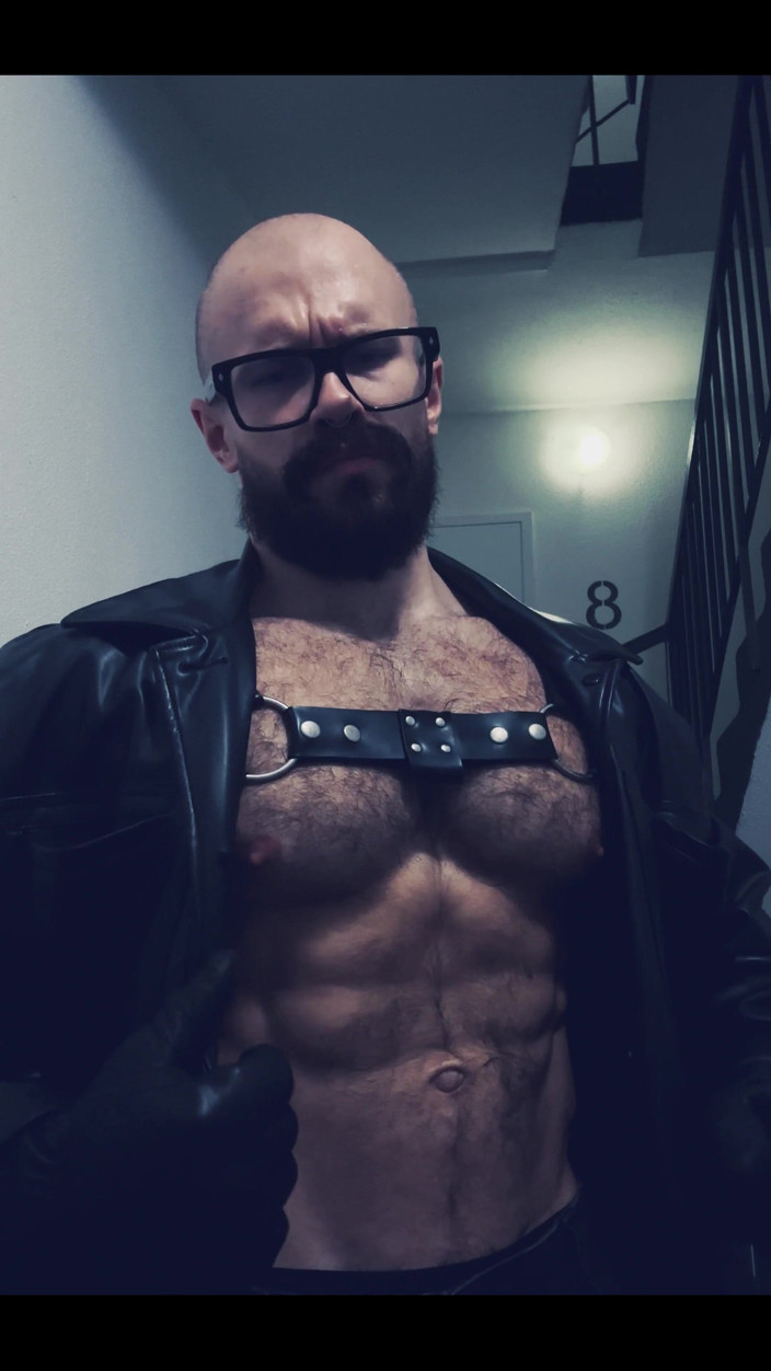 Mister Stone: Ses!