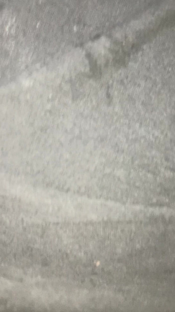 Big D raven: Allice menunggang batang besar saya