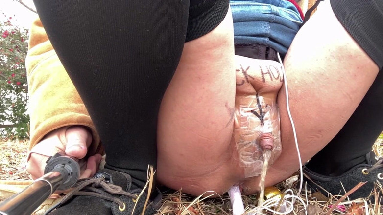 megu2002: 训练师训练第89号在安静公园暴露散步和尿尿