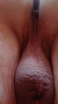 Vid_20241117_091333
