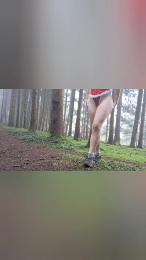 Swissapple: Em busca do Papai Noel