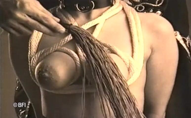 Art of Bondage: The art of bondage, vintage -DVD-