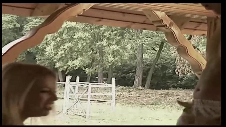 Muschi movie official: Di bawah gazebo seks