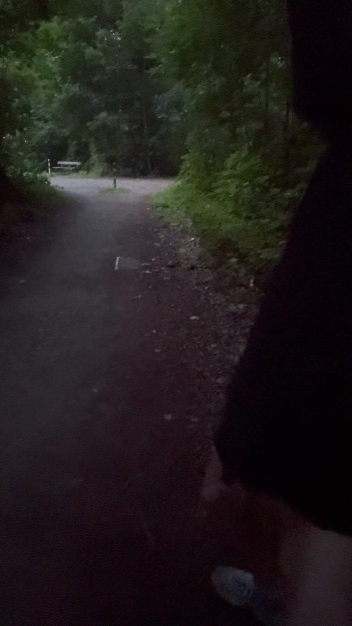 MasterPublic: Risky Walking