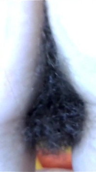 Chlupatá hra
