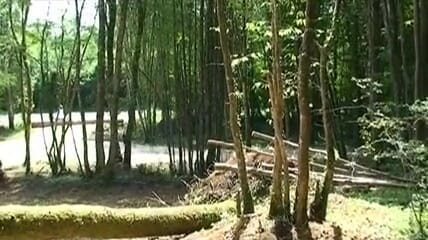 Hard Lesbians: Deux GILF excitées dans les bois