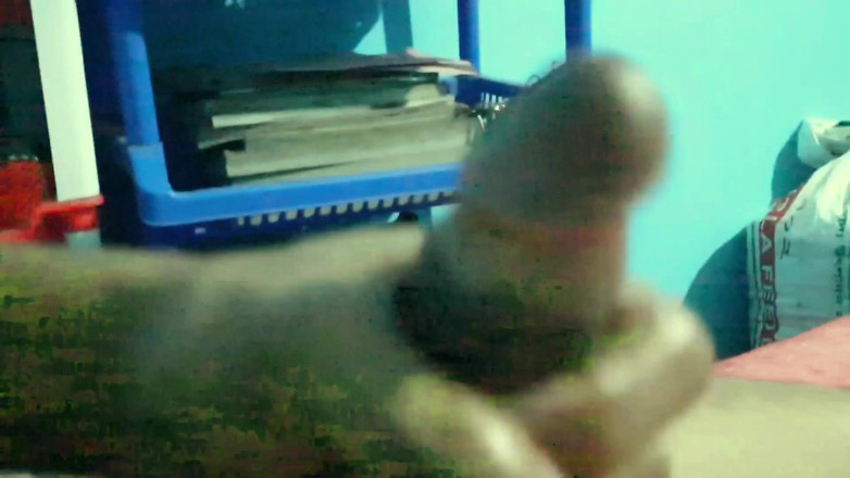 Xujjal: Un giovane ragazzo massaggia il suo pene a lungo ma...