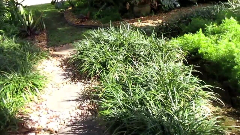 Mr hairy gardener: 花园之旅 第一部分