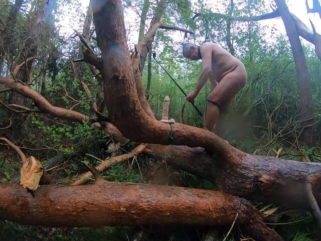 Andy: Perkara yang Anda Cari Di Dalam Hutan