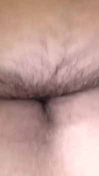 彼はその男の子の猫が好きです