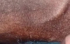 Bite desi
