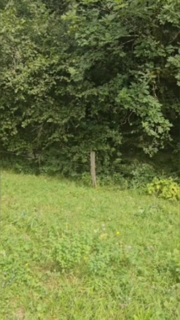 Sofy13: Kompilace dobré děvky, která miluje sex a čůráka