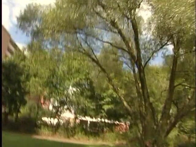 Lucky Cooch: Redhead babe is chasing her boyfriend outdoors