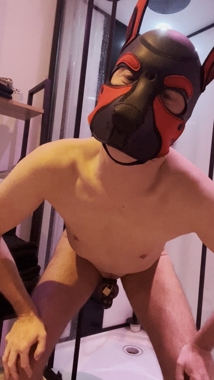 KinkyToyStory: Cățeluș supus cu centură de castitate ridică un dop anal...