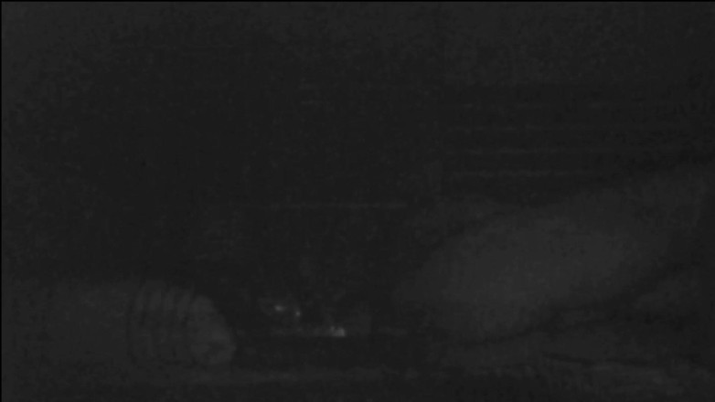 Jollyfuckingoldman: 妻子发现丈夫与保姆出轨