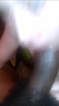 Lil Mary adore me sucer la bite