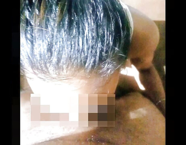 La Susce Babeuse De Lorie (Lorie mielle)