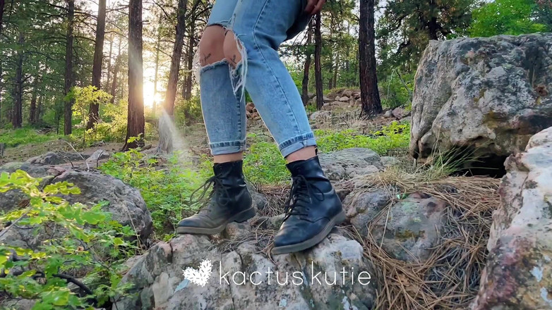 kactus kutie: Primo piano di una pisciata di tramonto con bonni