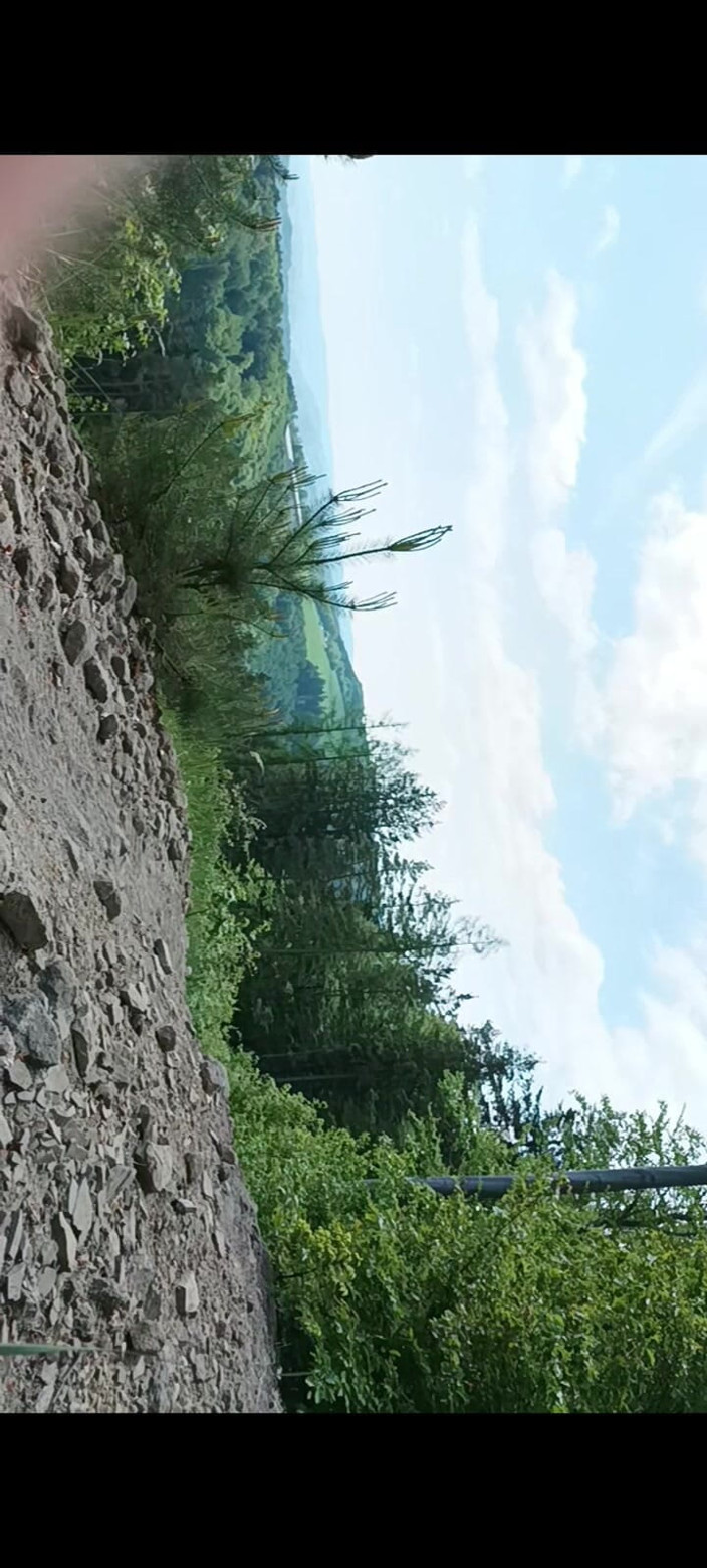 kickerscooter: Pénis en mode masturbation en plein air sur une colline...