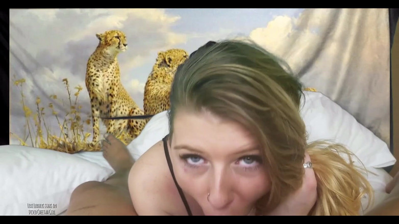PornoJuice: Disco Cheetah Girl cu Lexi Luxurys revizuit