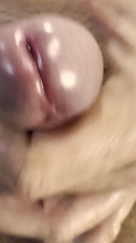 Tu Me Fais? Voici Ma Bite Dure