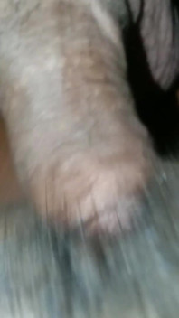 Chubby Pussy
