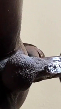 Perfect Lips-mouth Is Amazing Slurping Dick Until It Cum!!!