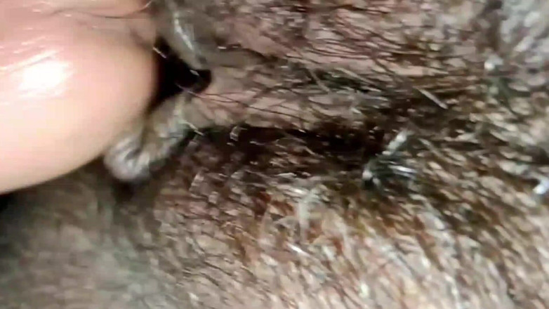 Js Creator: Novo Vabi sexual fodendo duro há muito tempo