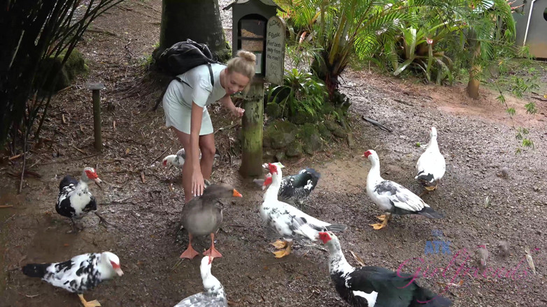 ATK Fans (Girlfriends): Virtual Vacation in Hawaii with Emma Hixx 9/16