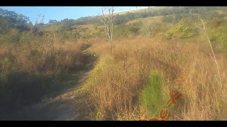 Bruxo fire: Bombomd4 chciał się pieprzyć na moście ... Przybyli strażnicy !! Obejrzyj pełny...