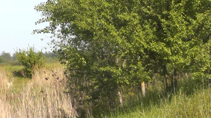 XXX-Platinum: Guy Saw Naked MILF Sunbathing on the Beach, She Masturbates...