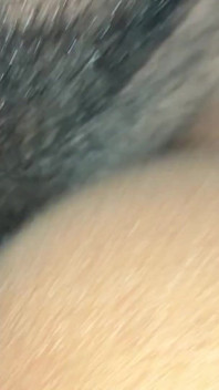 Chuť Hasbanu Přišla Odjinud.