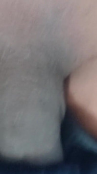 Solo M