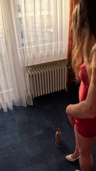 我粉碎了我侏儒的骨头