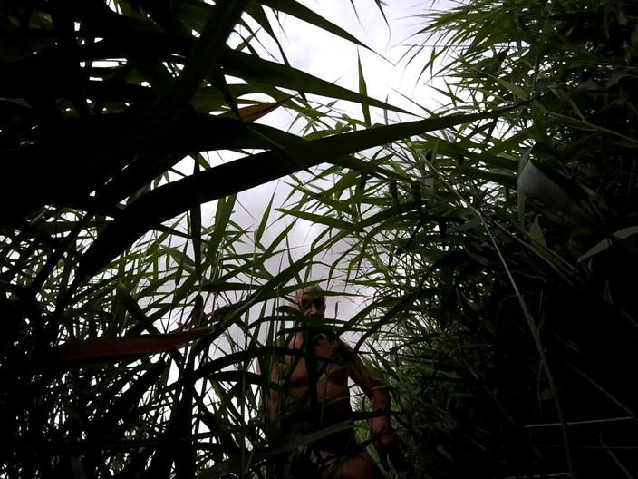 Andy: Partea 2 - plimbare 46