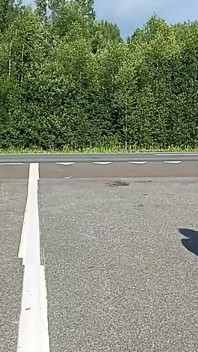 Eles Provocam Motoristas Na Estrada