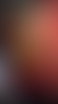 Anal Toy