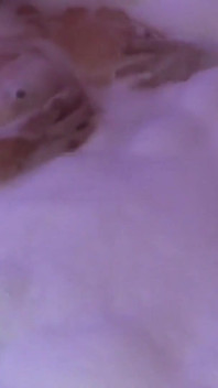 La mia bellissima moglie si gode la jacuzzi del motel prima di scopare il mio amico