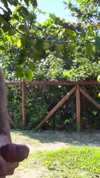 O masturbare manuală riscantă pentru o tipă atrăgătoare în parc!