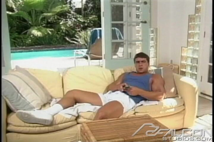 Falcon Studios: Revenge
