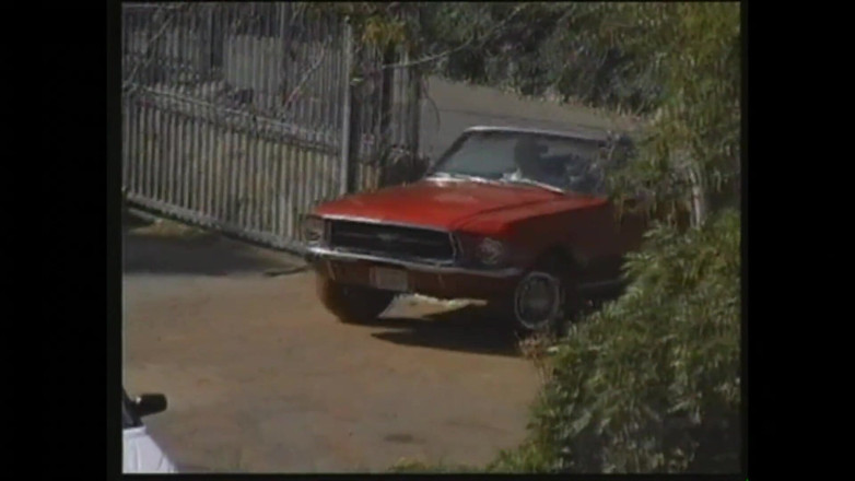 MMV TV - our best full movie: Let's All Go to Take It in the Ass
