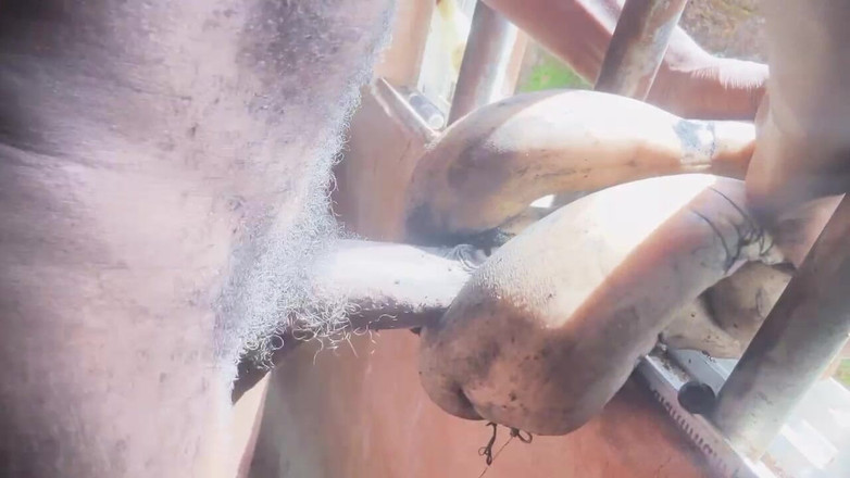 Bangcum8: Sex Toys sikişiyor