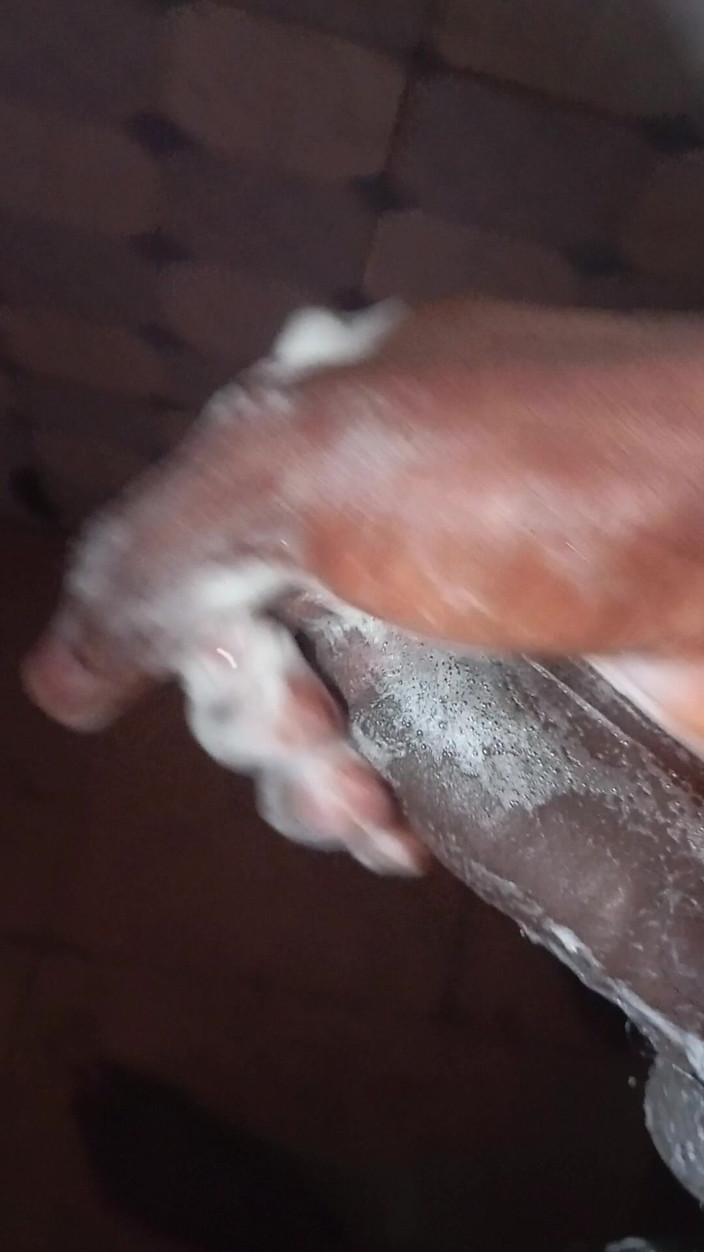 JasperTv1: Evde yalnız